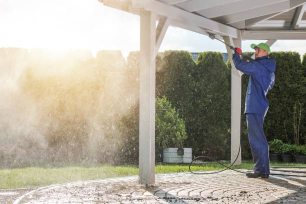 Best Roof Cleaning and Mildew Removal in Wormleysburg, PA