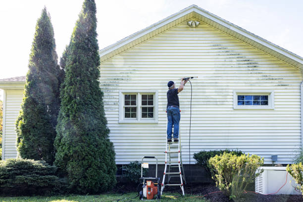 Best Vinyl Siding Pressure Washing in Wormleysburg, PA
